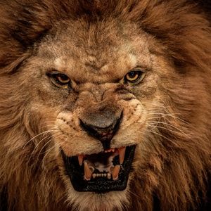 Meet your Posher, Marc